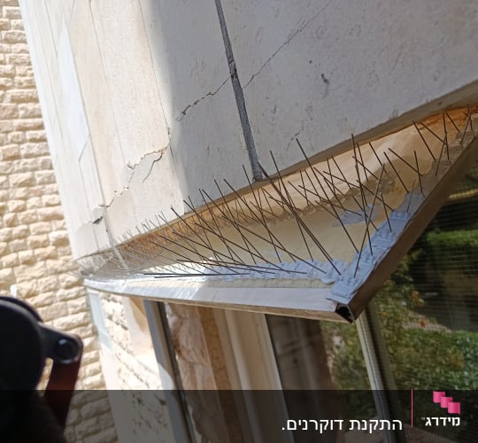 דוקרנים למניעת יונים על אדן חלון